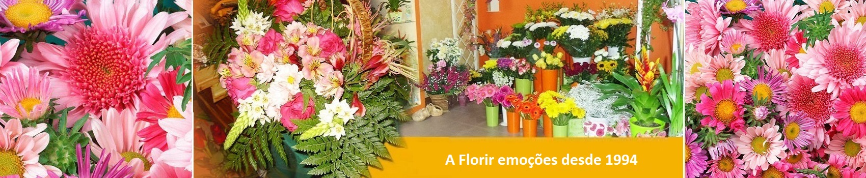 /fileuploads/BANNERS HOMEPAGE/florista_jusart_flores_plantas_rosas_jardim_banner a florir emoções esde 1994.jpg
